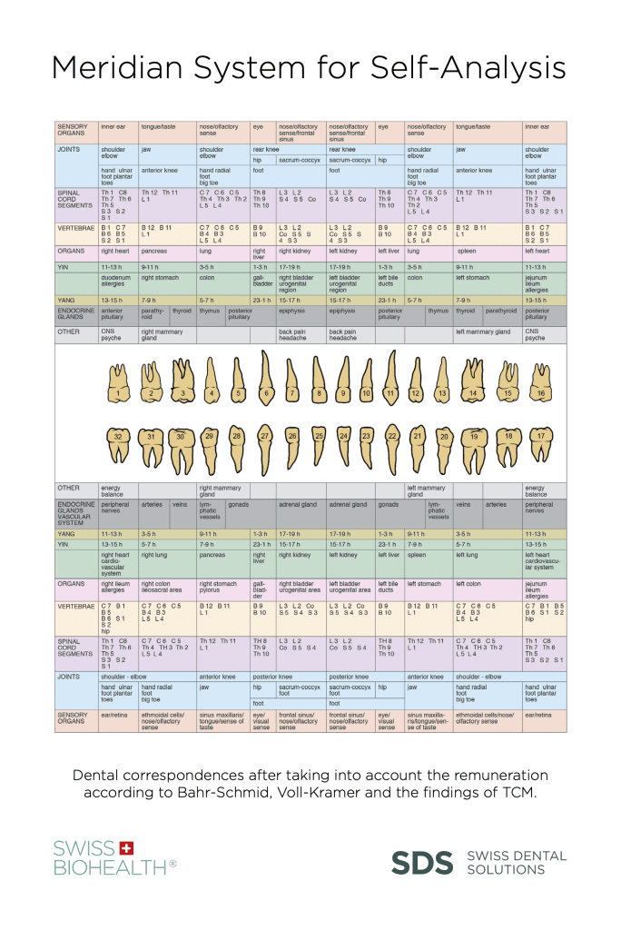 Meridian Line Tooth Understanding Tooth Meridian in Holistic Natural Dentistry